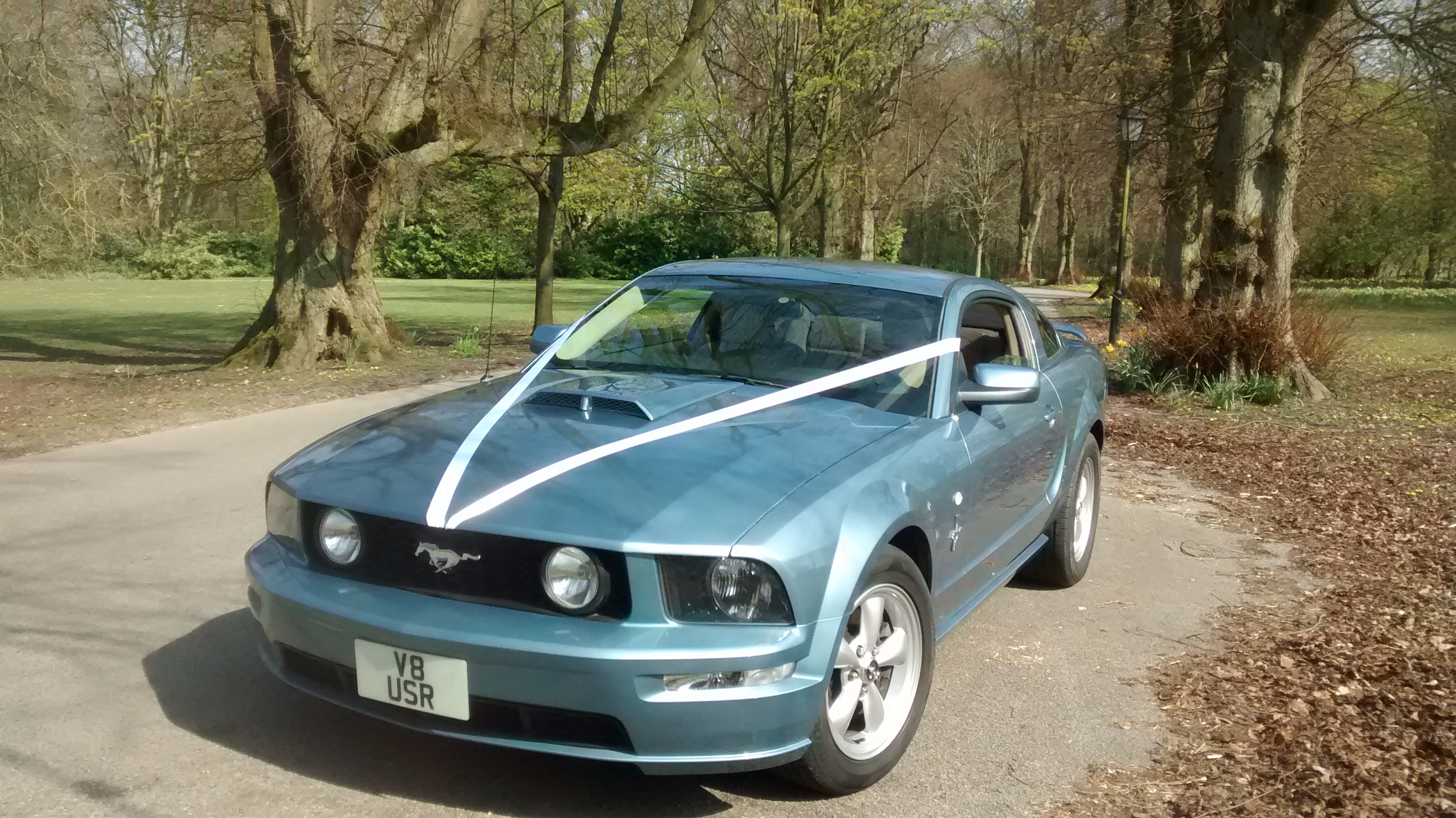 Ford Mustang V8 GT with ribbons
